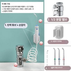 올솔드 직수구강세정기 수도직결식 치아세정기 물칫솔 직수, 기본형 3개 2개 출수구, 기본 모델명/품번