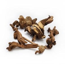 어밥 프리미엄 수초 활착 안시 파충류 은신 유목 랜덤 5개, 1세트