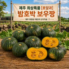 [농가직송]제주 미니밤호박 단호박 최상특품 로얄과, 1박스, 1kg