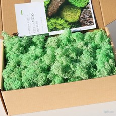 라프샵 인테리어소품 스텔라 모스이끼 그린 여름의 끝자락 200g