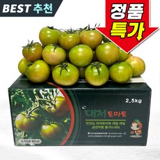 꿀팜즈 대저토마토 짭짤이 정품 초고당도, 1박스, 짭짤이토마토 1kg (3S~S)