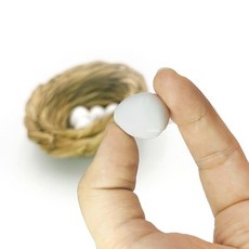 부화 용품 코뉴어 앵무새 의란 둥지 번식 알통, 1개