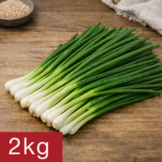 [여수시골농장] 당일제조 국내산 여수돌산 쪽파, 2kg, 1개