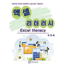 엑셀 리터러시:기초적인 데이터 입력부터 고급 분석 기법까지, 연두에디션, 유현배