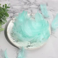 微景小舖 馬卡龍彩色中飄羽毛 捕夢網手工材料 禮品盒裝飾 約90-100支, 1個, 蒂芬尼綠,一包約90~100支左右, 蒂芬尼綠