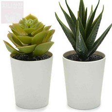 차니상점 인조 다육식물 화분 6cm 3개 미니화분