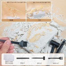 공룡 화석 발굴키트 고고학 체험 DIY 선물용 장난감 세트 2개: 티라노 화석 악어 드래곤, 2개