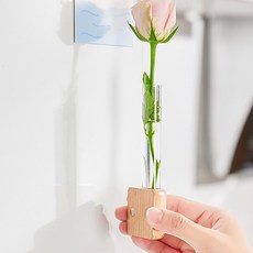 착붙는 냉장고 수경재배 미니화분 자석화분 작은꽃병, 투명