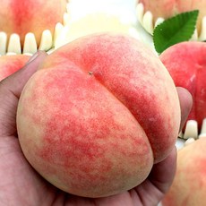 당도선별 부드러운 달콤한 황도복숭아, 1개, 4kg (중과) 18과내외