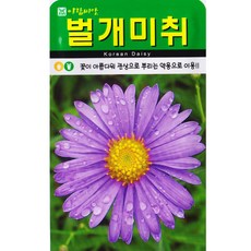 영농사 벌개미취 씨앗 500립 약용 꽃씨, 10개