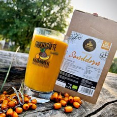 유농 석류모주 3L 석류주스, 3리터 (1개 팩), 바다 갈매나무 주스