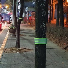 MARKET.MR_ 형광 반사스트랩 두줄 세이프티 암밴드 그린 안전띠 발목각반 야광띠 각반 안전각반, 1개, 상세페이지참고