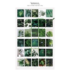糖詩 自然相冊系列 素材本 明信片 背景卡, D植物寄語
