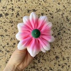 夢蓮 舞蹈手指花 漸層玫 直徑約12cm, 1套