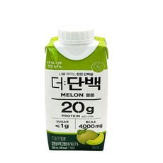 빙그레 더단백 드링크 프로틴 멜론 250ml 12개