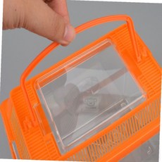 BS2 곤충관찰통 소형 사슴벌레