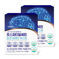 포스파티딜세린 식약처인증 징코 인지력 기억 개선 브레인부스트, 2개, 2개월, 60정