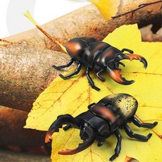 유치원 학습교구 무선조정 RC 사슴벌레 어린이선물 선물 무선조정완구