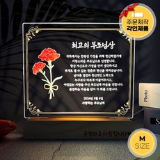 각인 감사장 아크릴 무드등 LED 조명 집들이 선물, 감사장M ( 교수님 )