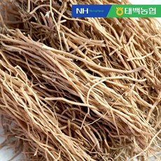 [정선농협] 우리농산물 우슬, 1개