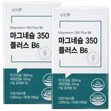근육 신경 기능 유지엔 하루 에 1알 먹는 먹기 좋은 산화 흡수 빠른 글루콘산 마그네슘 영양제 정, 2박스, 90회분