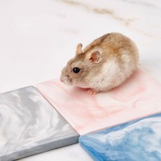 햄스터 도자기 쿨매트 곰인형 고슴도치 둣자리-08600EA, 핑크, 본상품선택