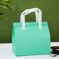 부직포 보온보냉가방 쇼핑백 휴대용 보냉백 10L, COLDBAG17_민트