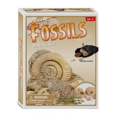 고고학자되기 매립화석 발굴 과학세트 어린이과학 관찰키트 공룡화석발굴키트, 1개