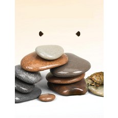 수족관 인테리어용 자연석 거북이 은신처, 12. 소형 0.5kg