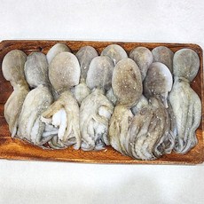 조업즉시 급냉 냉동 쭈꾸미, 2개, 1kg