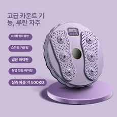 올원픽 허리돌리기운동기구 회전 원판 공원 운동, 1개, 루란 퍼플