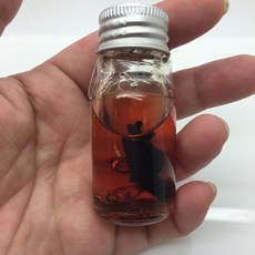 人緣鳥油 龍波本 招財加人緣 人緣油, 1個