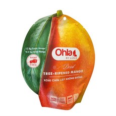 Ohla 베트남 말린 건 망고 간식 무설탕 무첨가 자연 숙성 200g, 1개