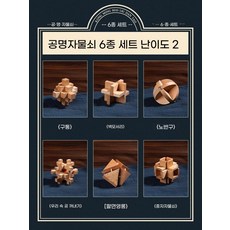 두뇌 개발 퍼즐 잠금 장난감 조립형 전통 구조 블록 IQ 놀이 선물용, [저렴한 6종 세트] 난이도 2, 전체 도안/영상/3D