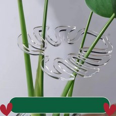 화분 쓰러짐 방지 몬스테라 식물 지지대 투명 거치대, 1. 5개, 중형