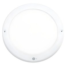 번개표 LED 엣지타입 원형 센서등 20W 220mm, 화이트 + 주광색, 1개