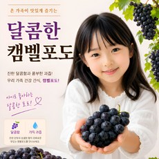 국내산 캠벨포도 새콤달콤 고당도 켐벨포도, 1개, 켐밸포도 500g