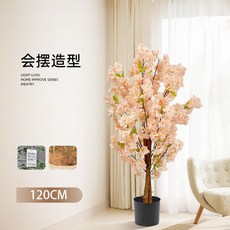 Carst Home 仿真櫻花樹室內裝飾盆景 落地造景植物擺件, 1個, 高奢香檳櫻花樹1.2米適用,小黑盆贈送椰絲+INS吊牌