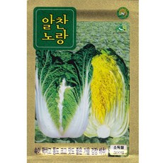 영농사 <알찬노랑 배추 씨앗 500립> 김장배추씨, 2개