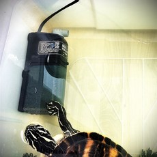 꼬북랜드 거북이 여과기, 1개, 6W