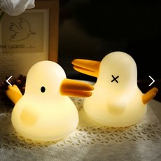 다크 키위 LED 무드등 터치센서 밝기조절 인테리어 소품