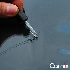 카닉스 잔나 유리복원제, 1개