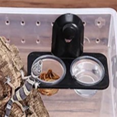 정보다모아샵 파충류 먹이그릇 밥그릇, 2구, 1개