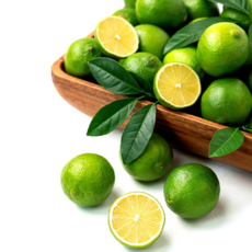 [재구매율1위]몬나니마켓 직수입 상큼한 라임, 1박스, 대과50과