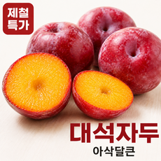 대석자두 아삭한 고당도 제철자두 산지직송, 1박스, 1kg