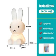 卡通造型裝飾燈 戶外庭院草坪氛圍落地燈, 220V接電款-（大號光源）,小熊30釐米