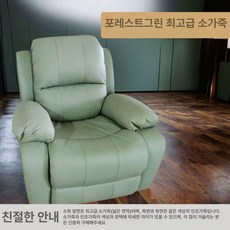 전동 의자 거실 가죽 1인용 독서 소파 안락 리클라이너, 전동 160도 USB 270도 인체공학적 A, 포레스트그린 천연가죽