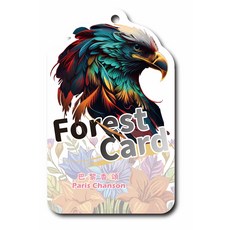 巴黎香頌森林香氛卡片 - 雄鷹設計，持久清新，衣櫃汽車適用, 圖騰炫彩老鷹(1入), 巴黎香頌