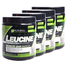 NutraKey 白胺酸, 4個, 150克