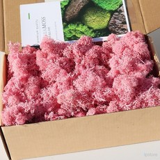 라프샵 장식소품 스텔라 모스이끼 러블리핑크 200g